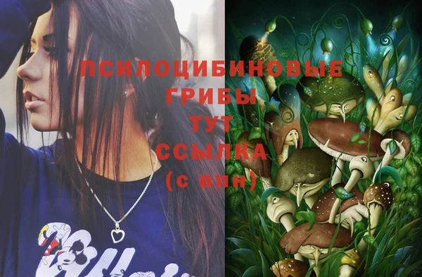 винт Баксан